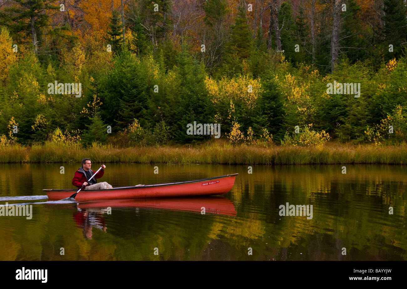 Blueberry lake Vermont Stock Photo Alamy