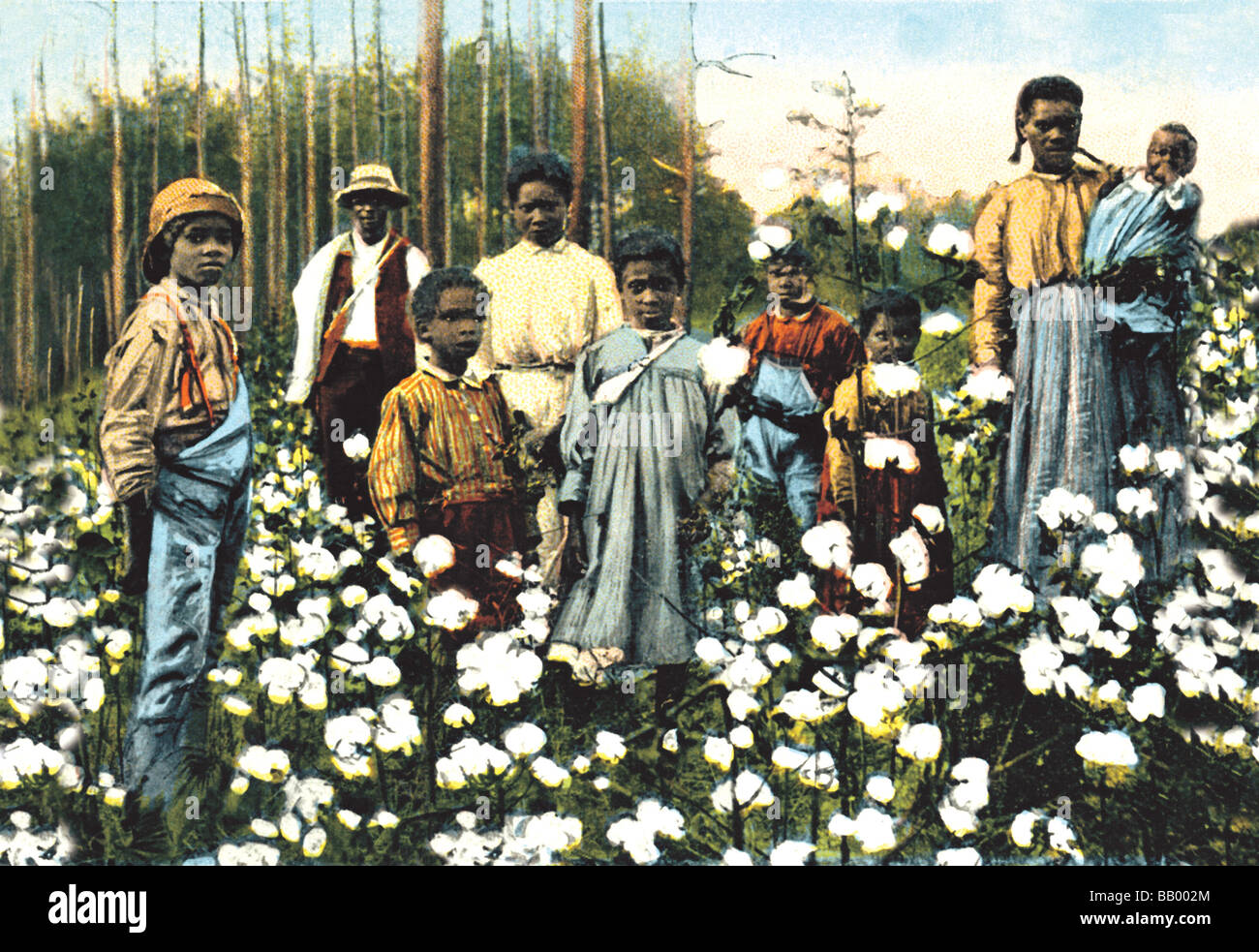 Portrait of Cotton Field Workers Stock Photo Alamy