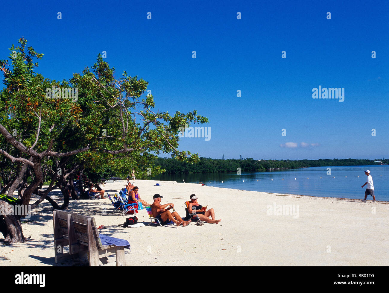 John Pennekamp Coral Reef State Park Stock Photo Alamy
