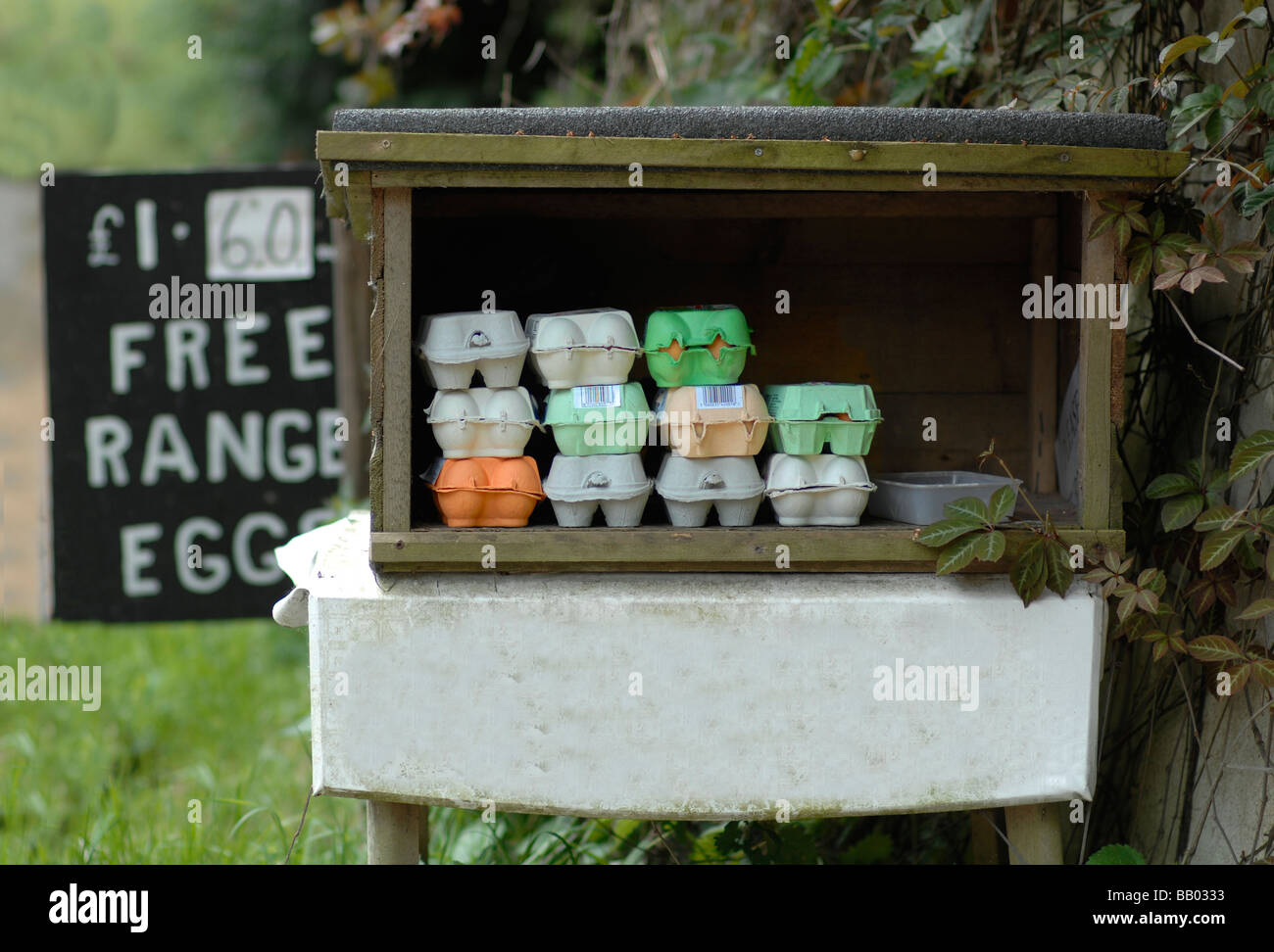 Free Range Eggs By A Farm In Kent England Stock Photo Alamy   Free Range Eggs By A Farm In Kent England BB0333 