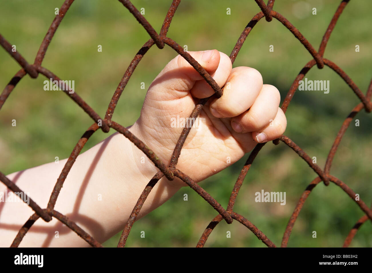 baby hand holding lattice Stock Photo