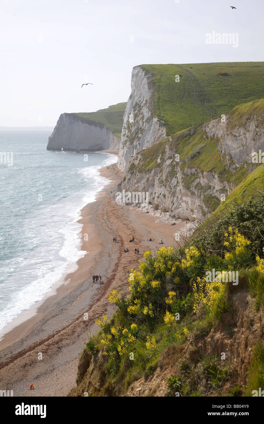 Chalk cliffs, Bat's Head, Dorset, England Stock Photo