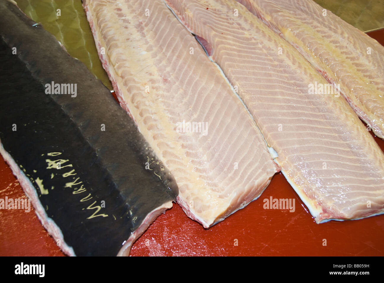 Caviar Production at sturgeon breeding farm Caviar Creator Demmin Mecklenburg Vorpommern Germany
