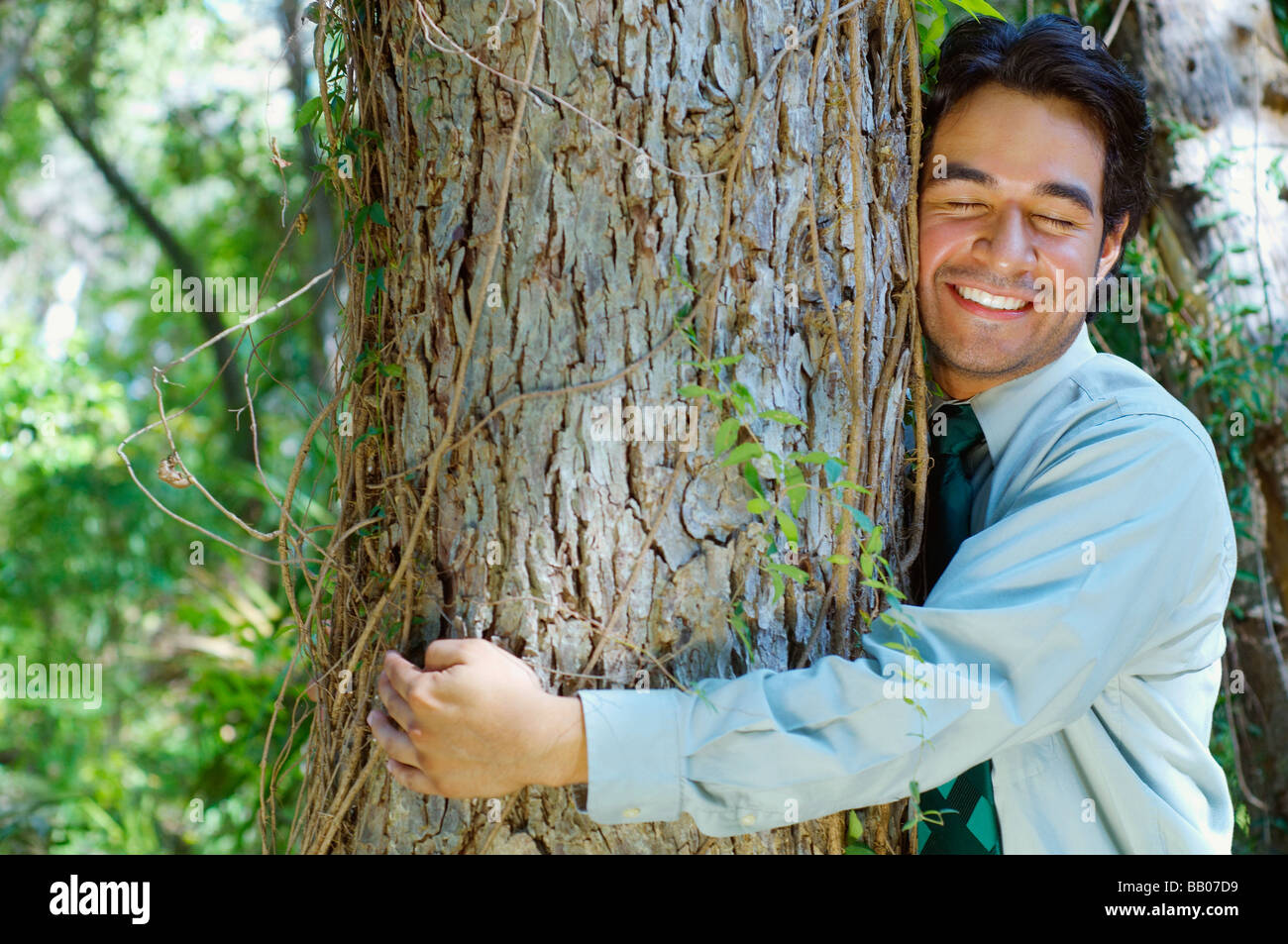 Hispanic businessman hugging tree Stock Photo