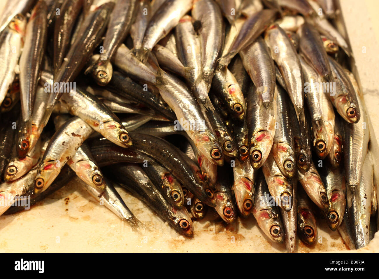 Anchovies at a market in Rome, Italy Stock Photo Alamy