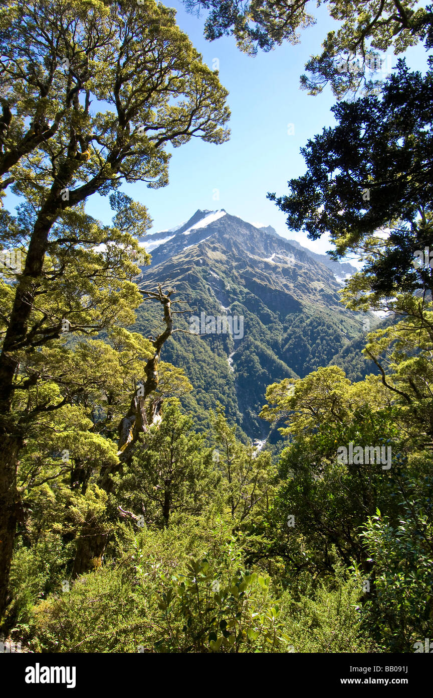 View from French Ridge track Mount Aspiring National Park South Island New Zealand Stock Photo