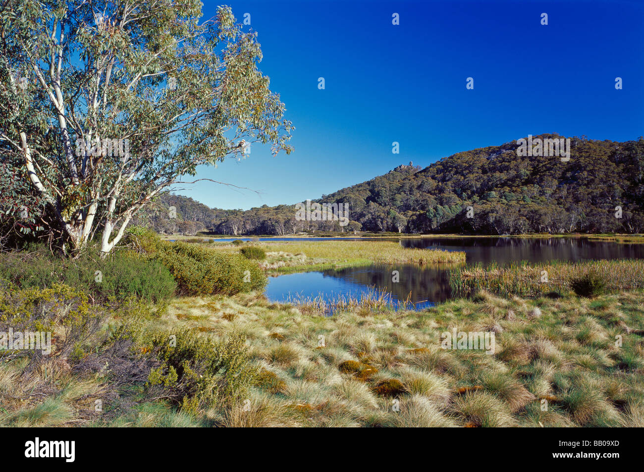 Lake Catani Mount Buffalo National Park Victoria Australia Stock Photo