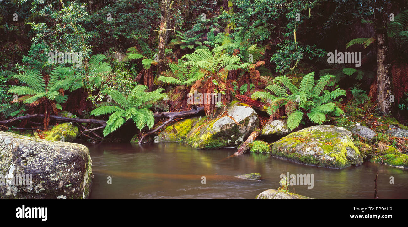 Manning River Barrington Tops National Park New South Wales Australia Stock Photo
