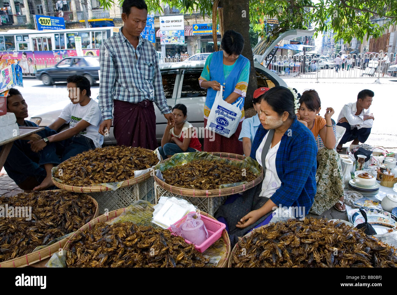 Cricket sellers. Yangon. Myanmar Stock Photo