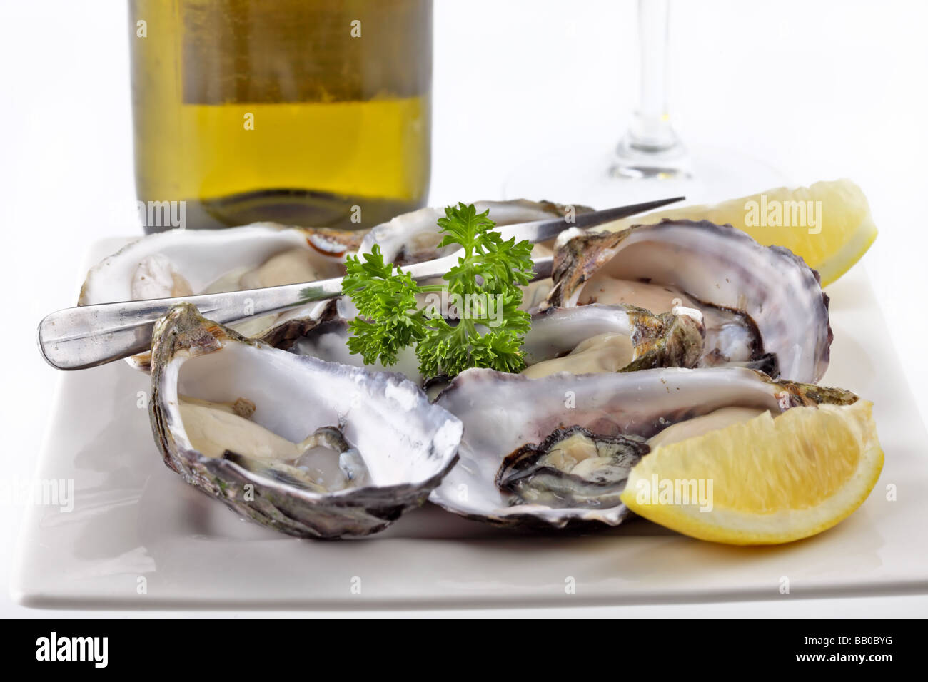 Plate of oyster ready to be eaten with garnish and fork Stock Photo