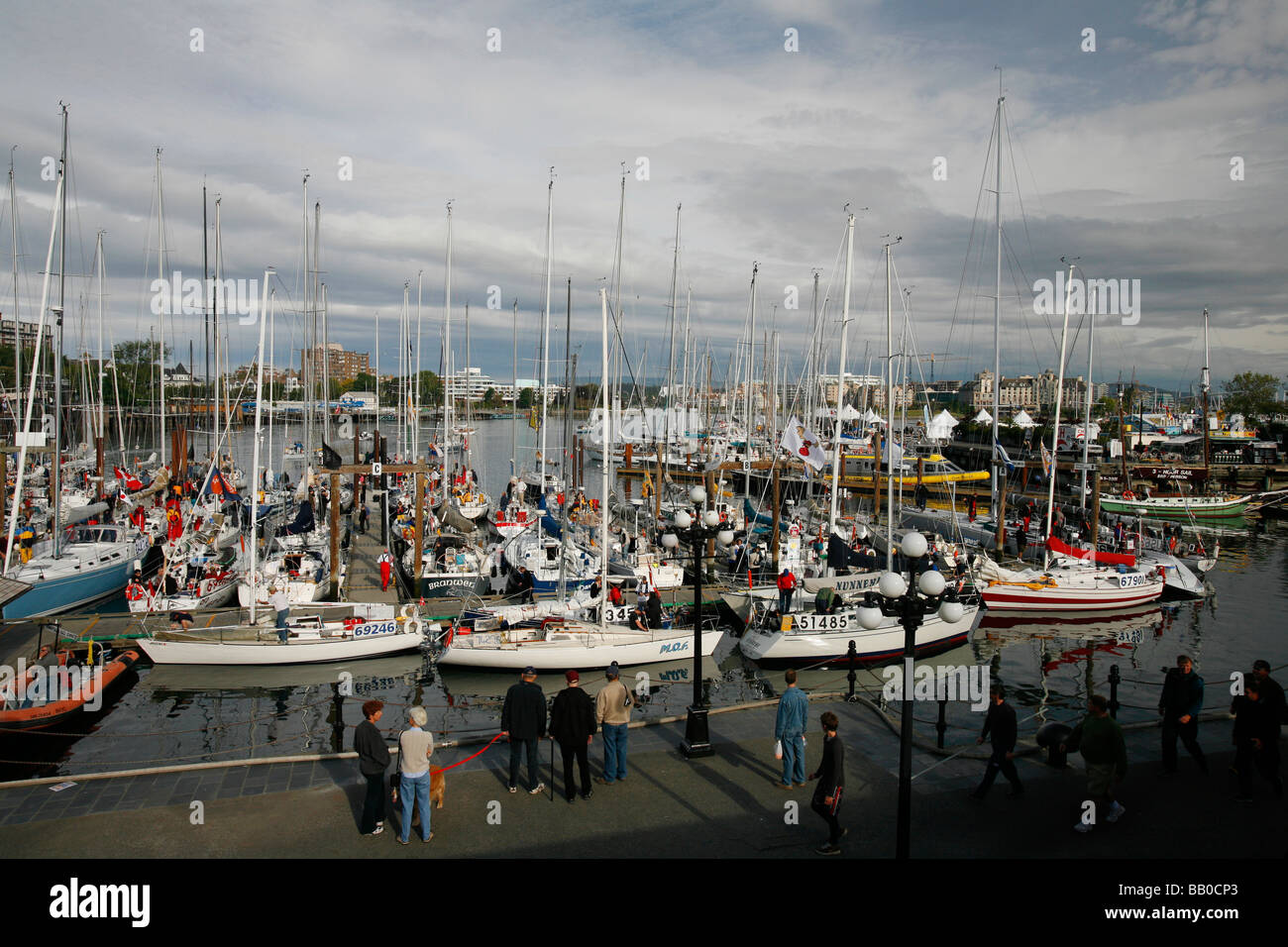 Sailboats in the Inner Harbour for the Swiftsure sailing race in