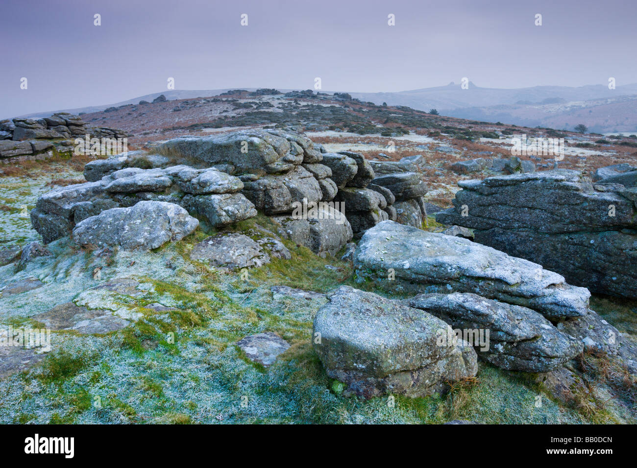 Frost covered granite rocks on the moorland at Hayne Down in Dartmoor National Park Devon England January 2009 Stock Photo