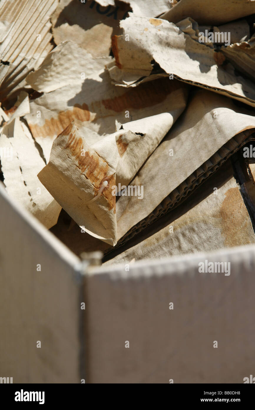 close up detail of old dirty torn empty cardboard box Stock Photo Alamy