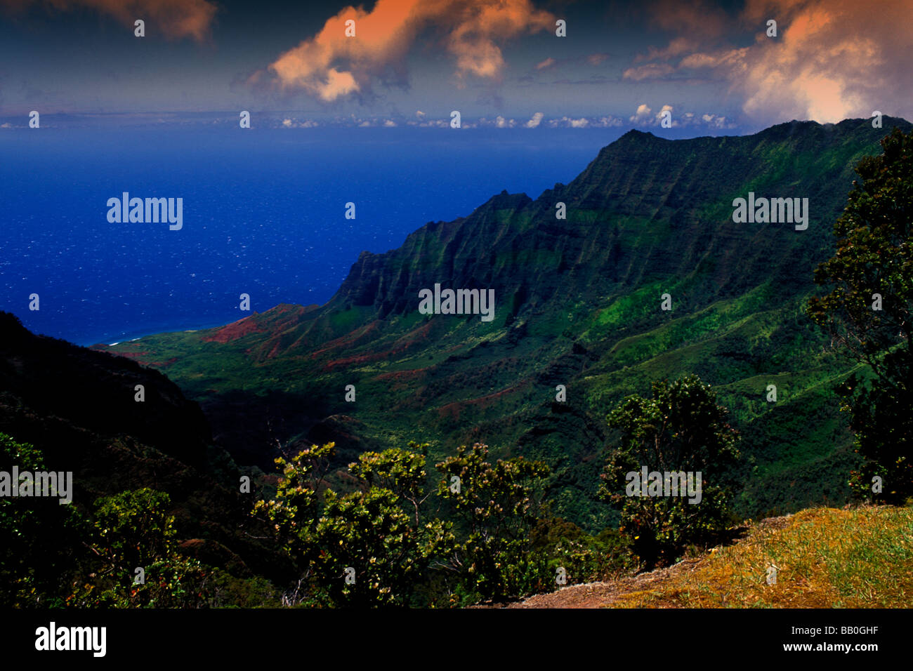Kokee State Park Honopu Valley Kauai Hawaii Stock Photo Alamy