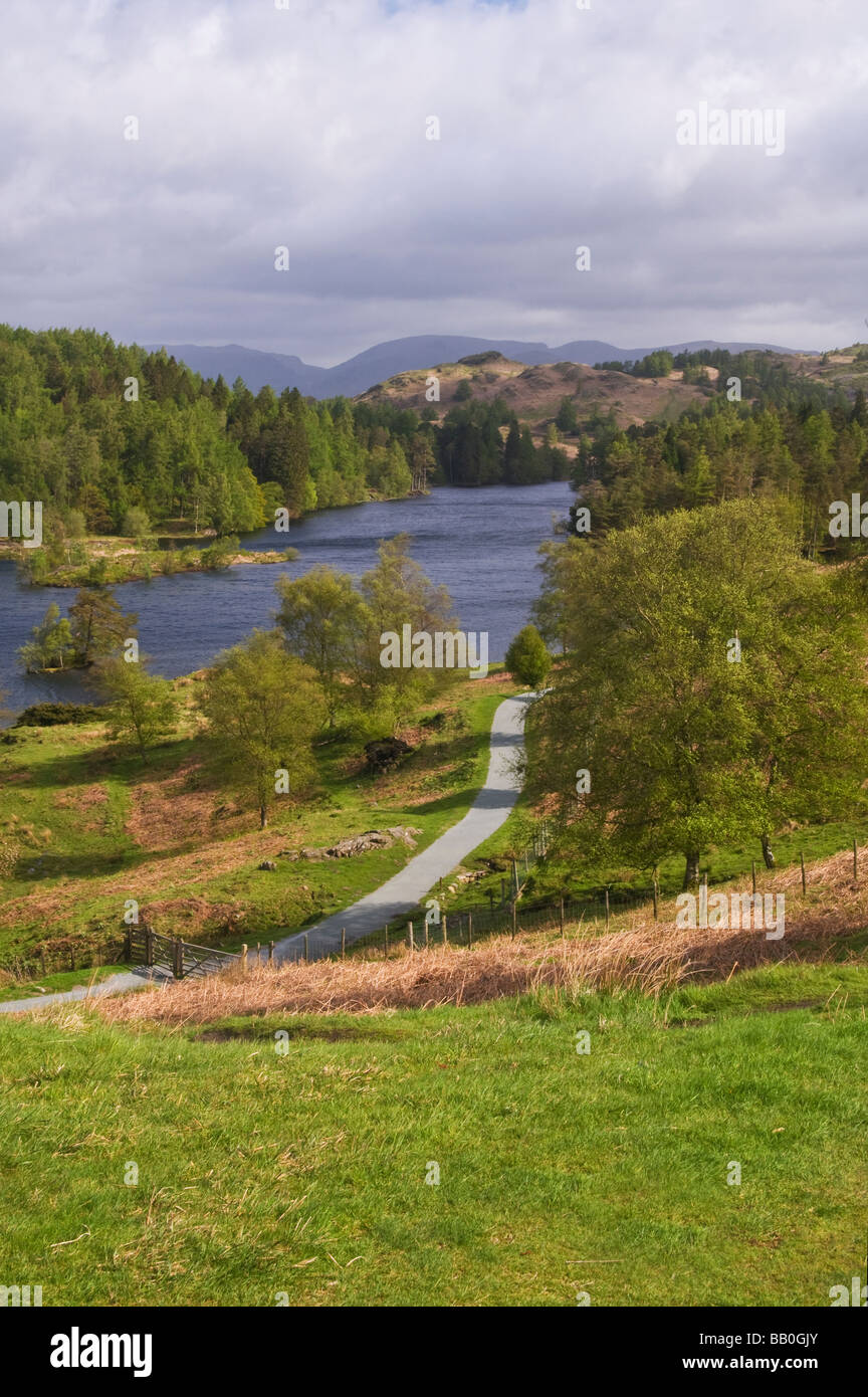 Tarn Hows, a lake in the Lake District National Park, taken in May Stock Photo