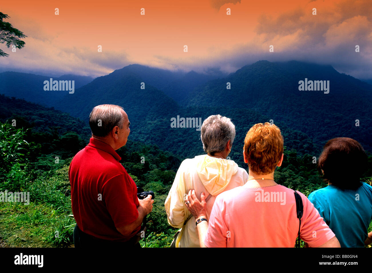 Ecology Lessons in Tropical Rainforest Braulio Carrillo Costa Rica Stock Photo