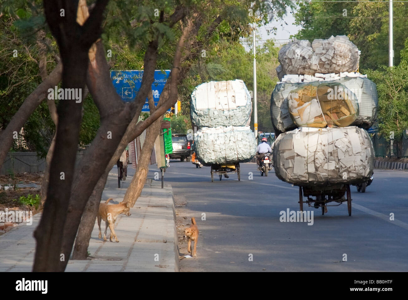 Indian Recycler with a Load of Styrofoam in Delhi India Stock Photo - Alamy