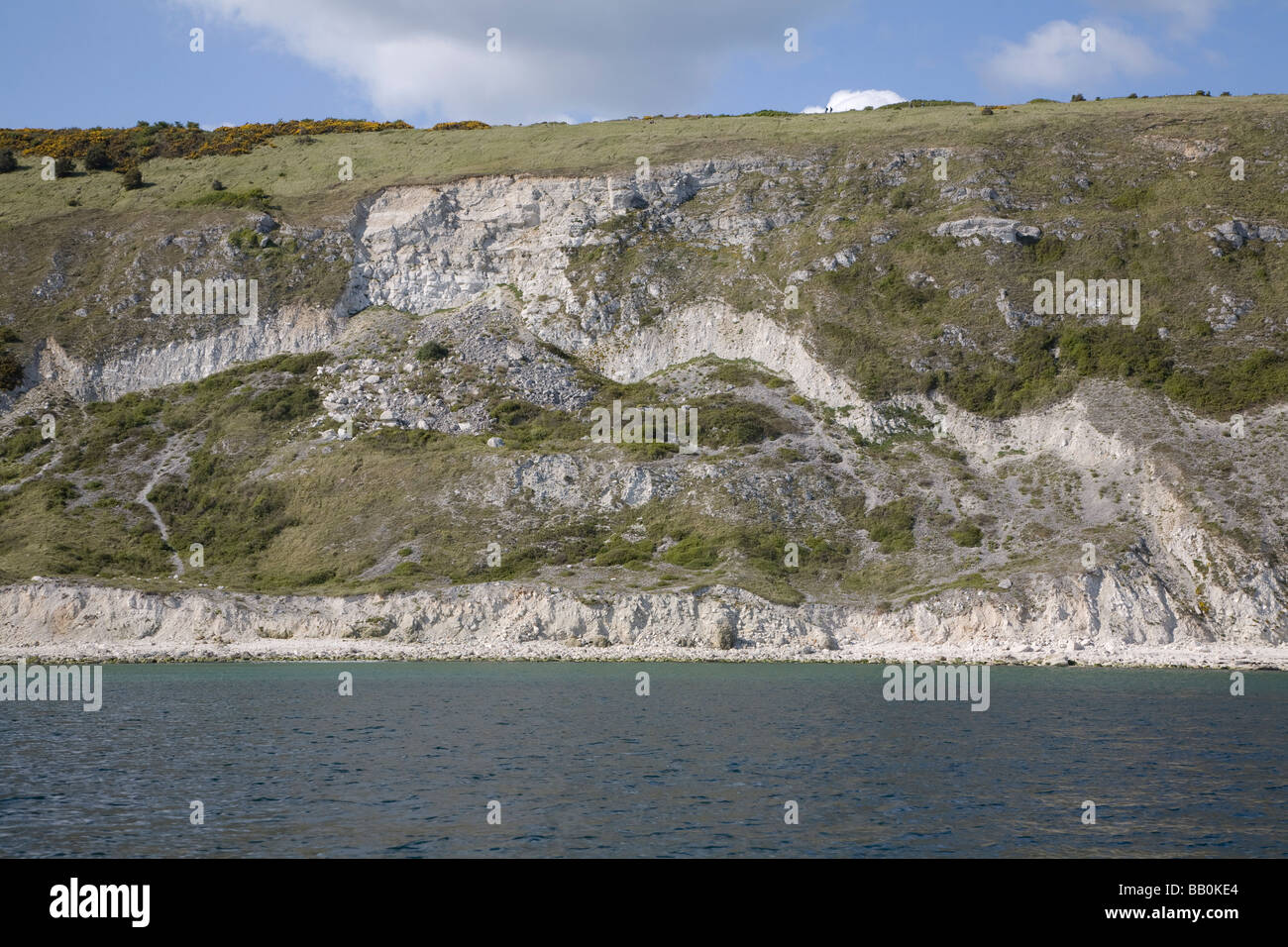 Chalk cliffs Ballard Point near Old Harry Rocks, Dorset, England Stock