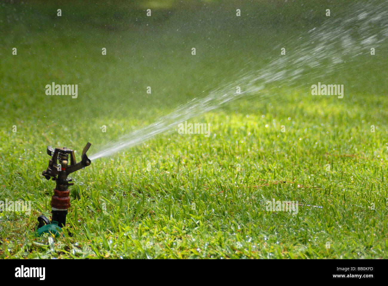 Lawn sprinkler spraying the green grass with fresh water Stock Photo