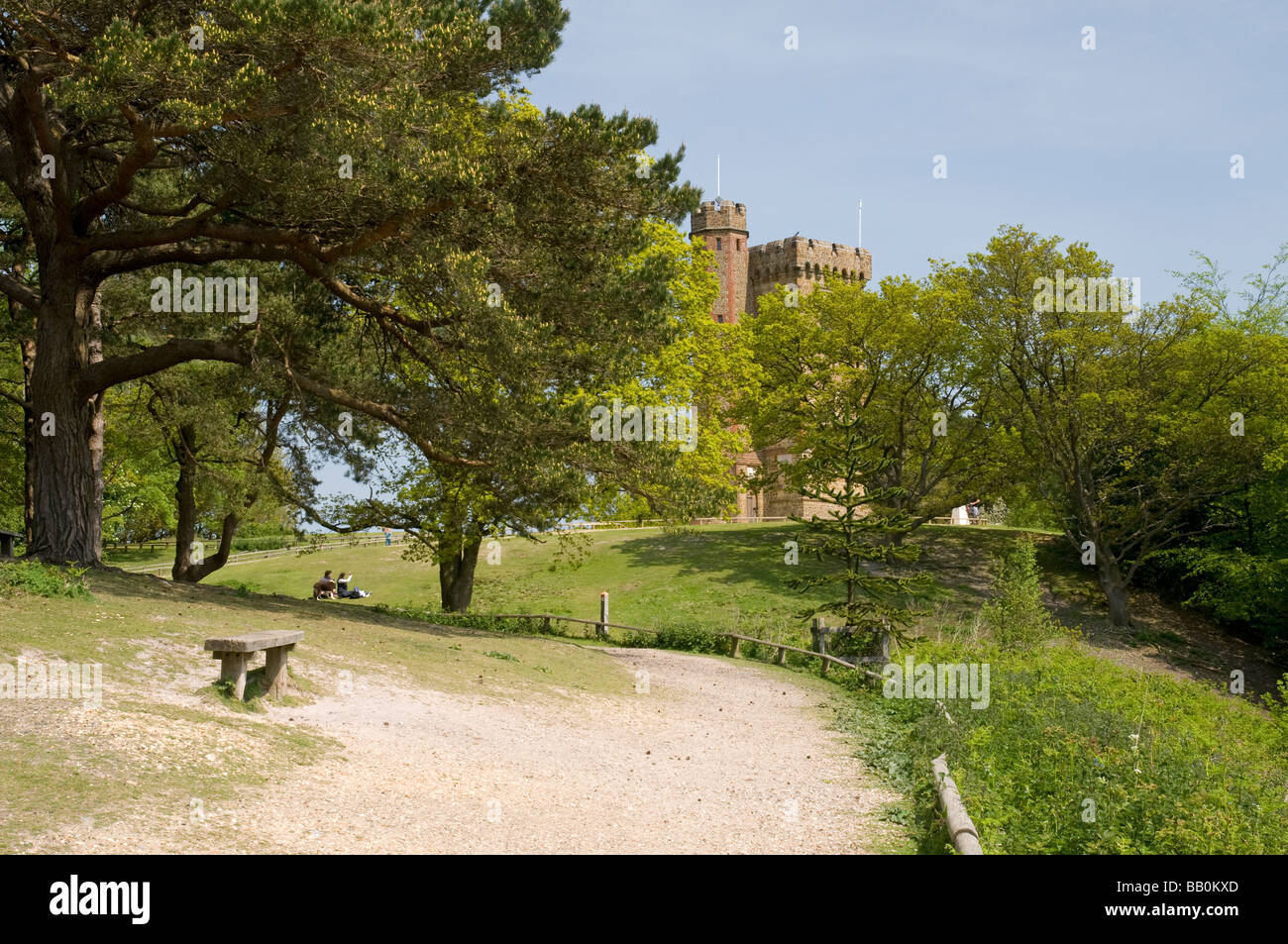Leith Hill Tower, partially obscured by trees, in Surrey, England Stock