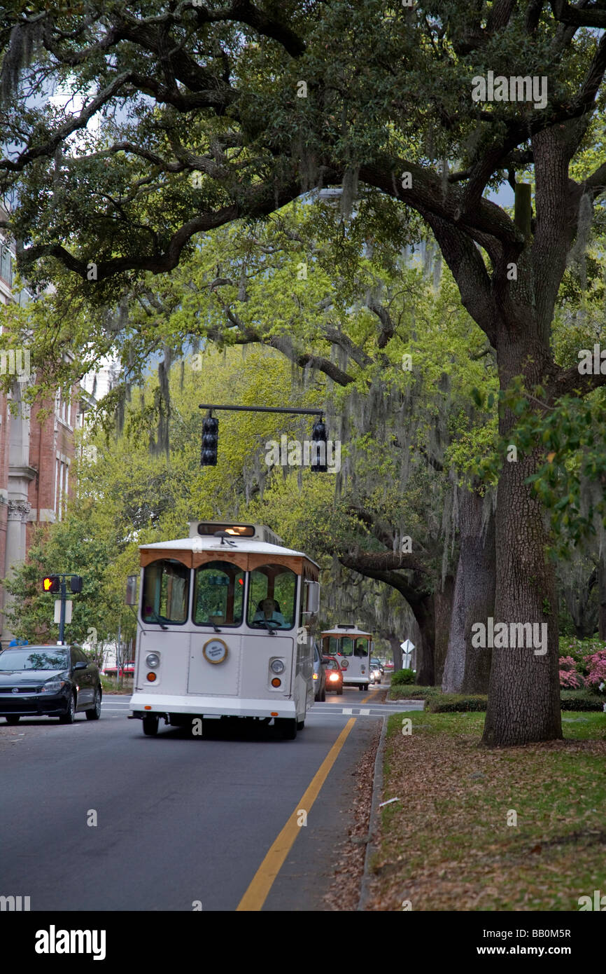 Trolley Bus as Transportation in the City and Tourist destination of Savannah in Georgea, USA, America Stock Photo