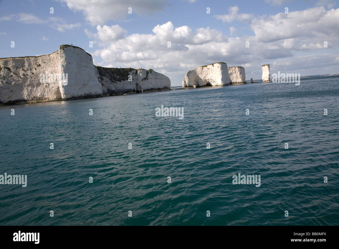 Chalk cliffs and stacks Old Harry Rocks, Handfast Point, Dorset