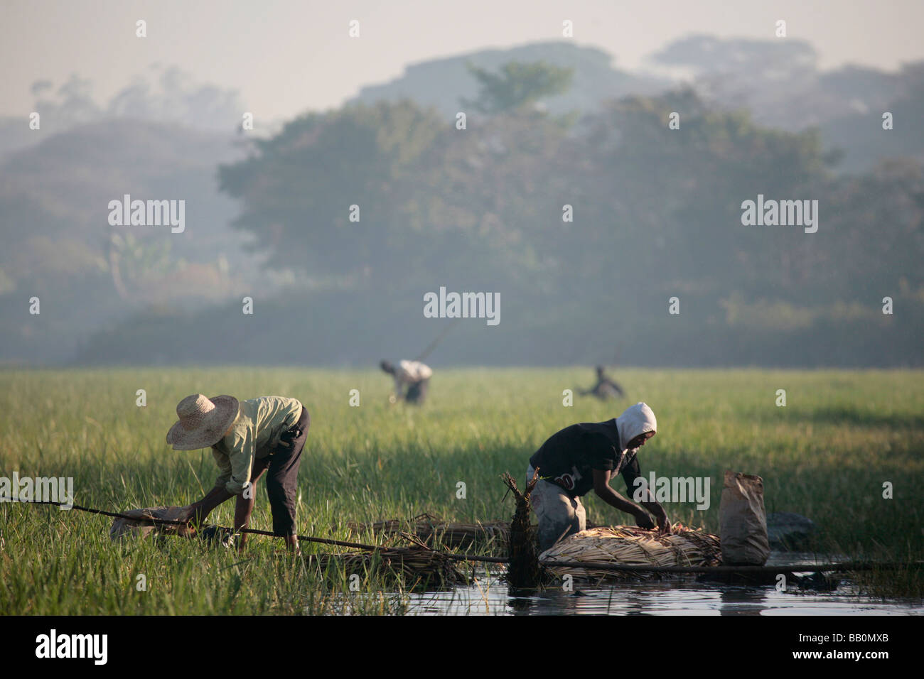 Men fishing from reed boats in Lake Awasa Ethiopia Stock Photo