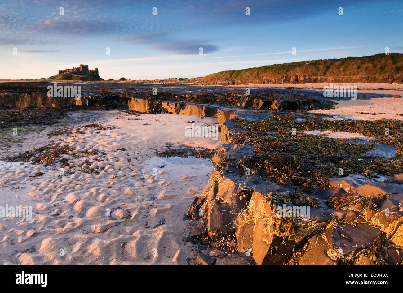 Rock Ledges and Bamburgh Castle in Morning light Stock Photo - Alamy