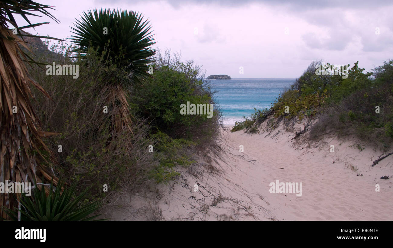 Sandy path to Anse Grande Saline beach St Barts Stock Photo