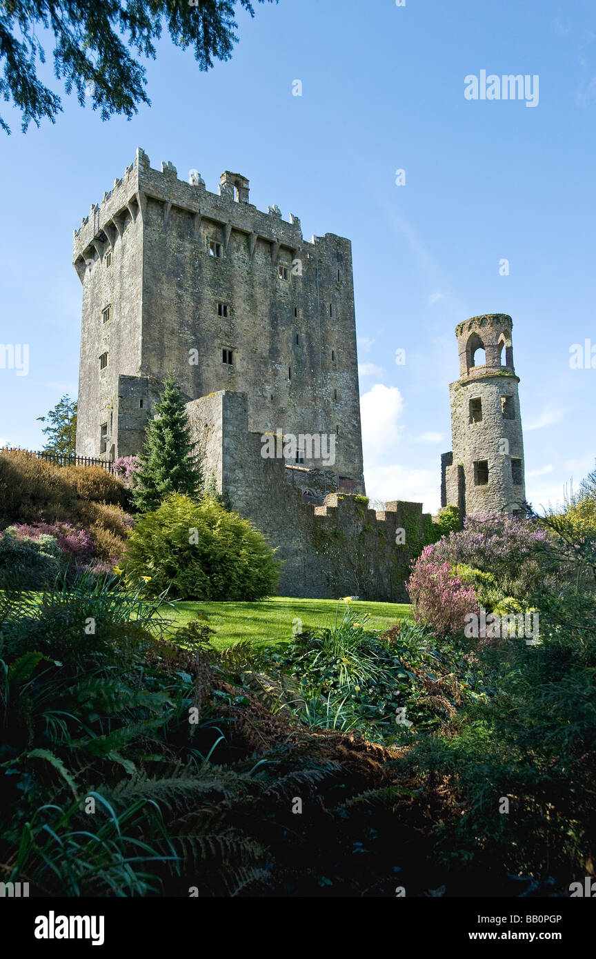 Many tourists come to kiss the Blarney Stone here on top of the Blarney Castle Ireland Stock Photo