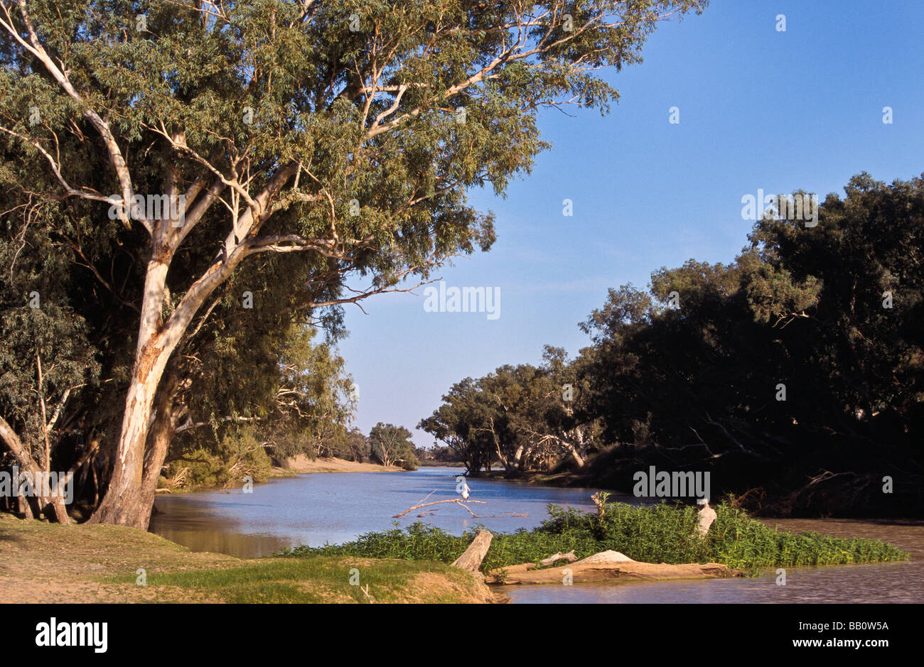 Cooper creek australia hires stock photography and images Alamy