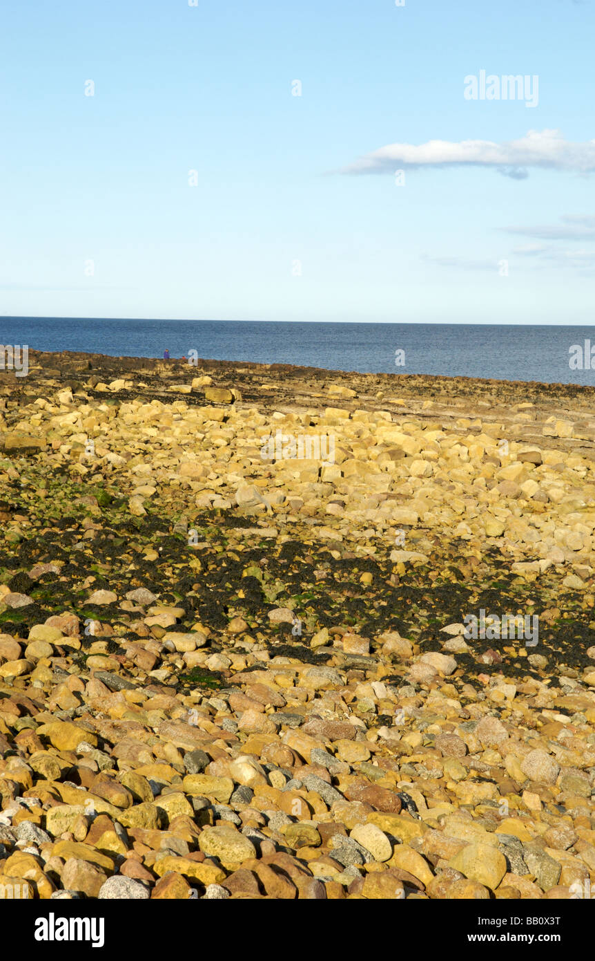 Beadnell beach, Northumberland Stock Photo