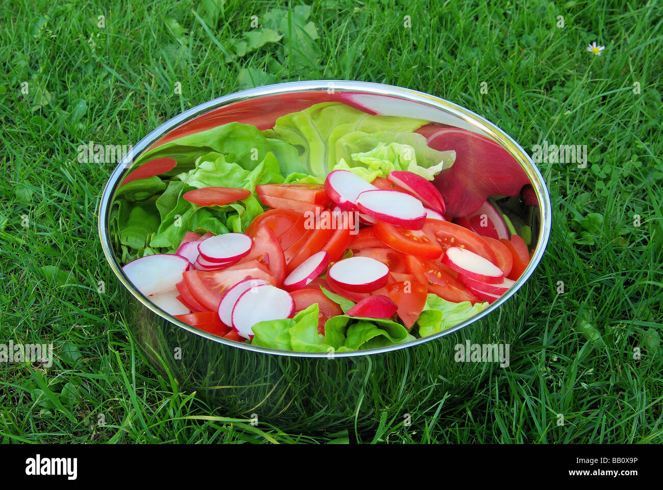 Gemischter Salat mixed salad 03 Stock Photo