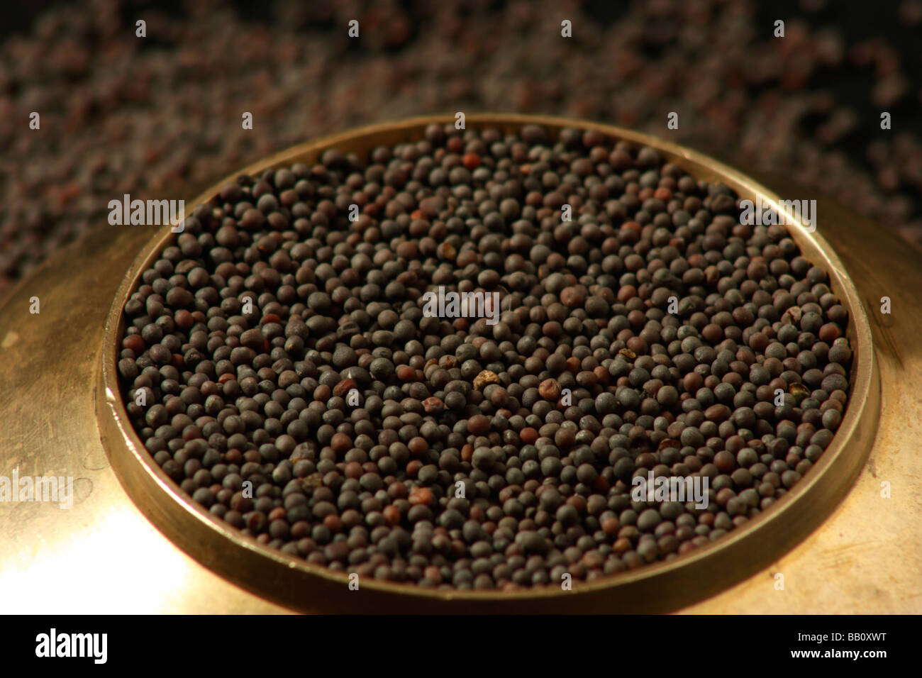Mustard Seeds Are Another Essential Spice In The Indian Kitchen