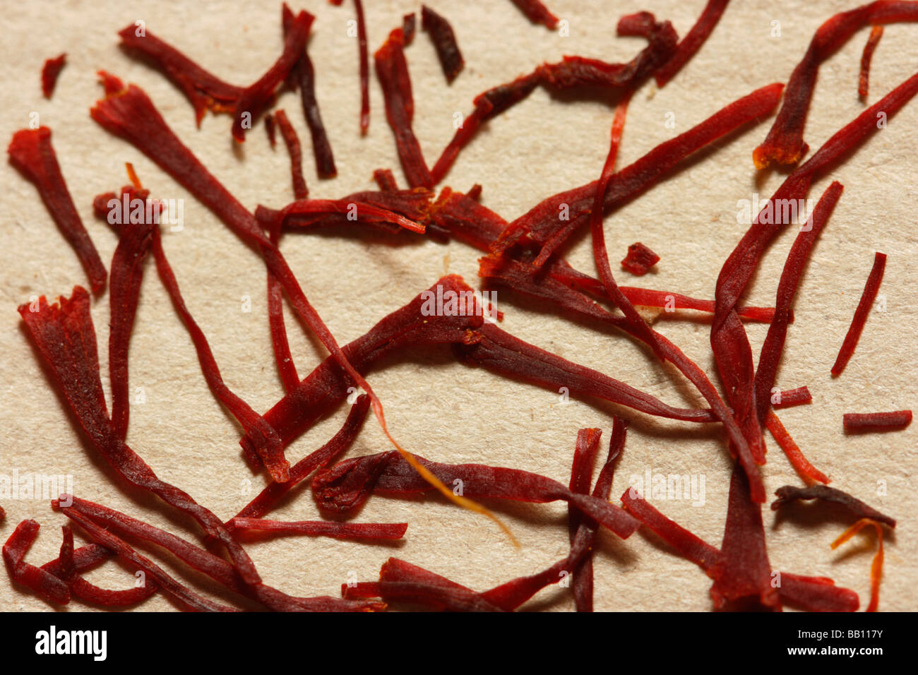 Saffron an aromatic flower petal grown in the Himalayas and used in