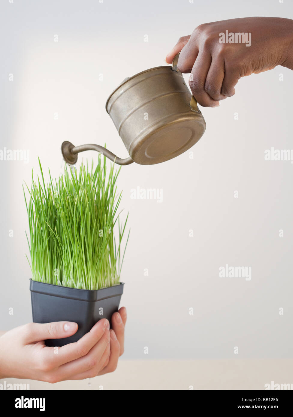 African woman pouring water on grass in pot Stock Photo Alamy