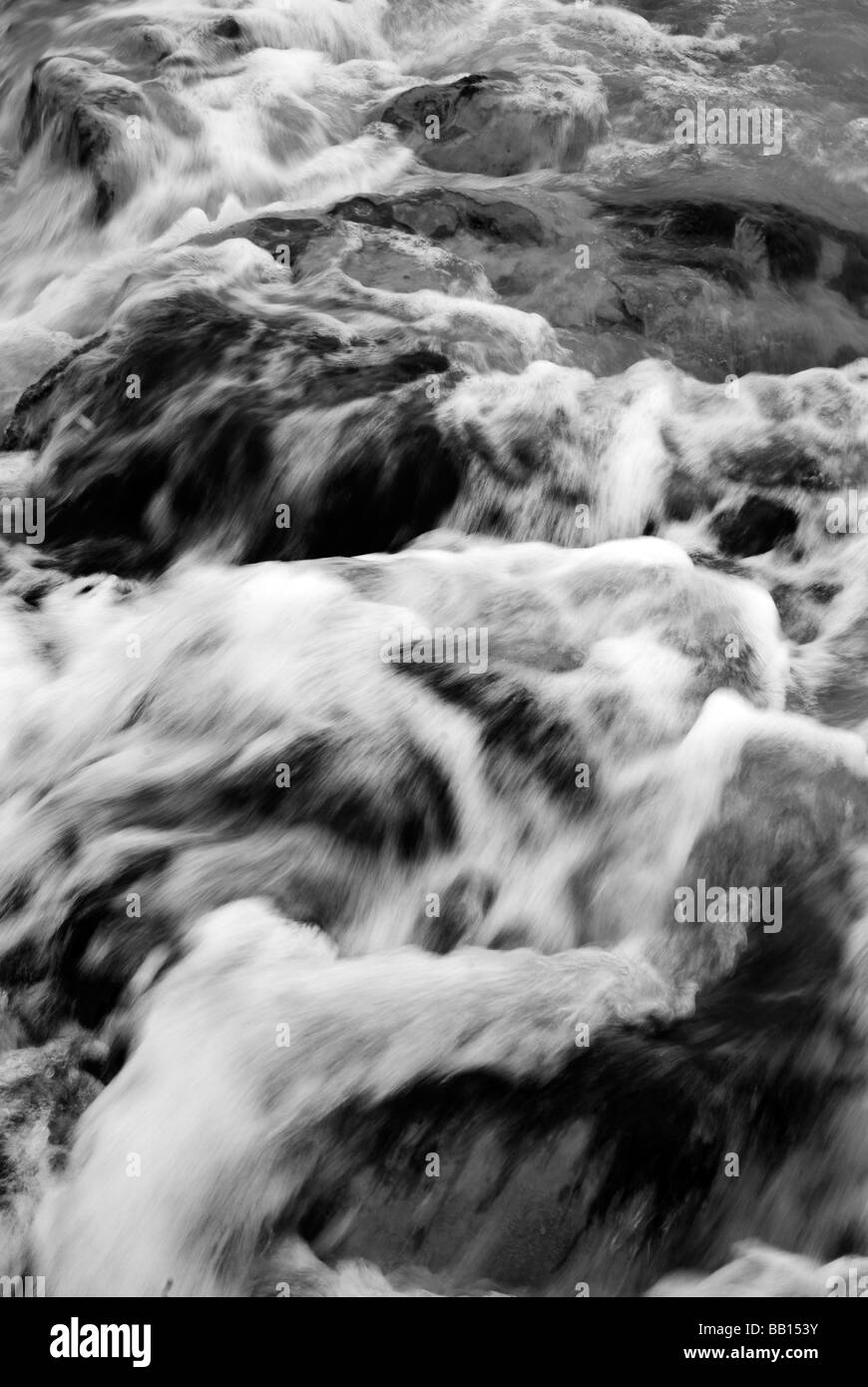 Primal sea Black and White Stock Photos & Images - Alamy