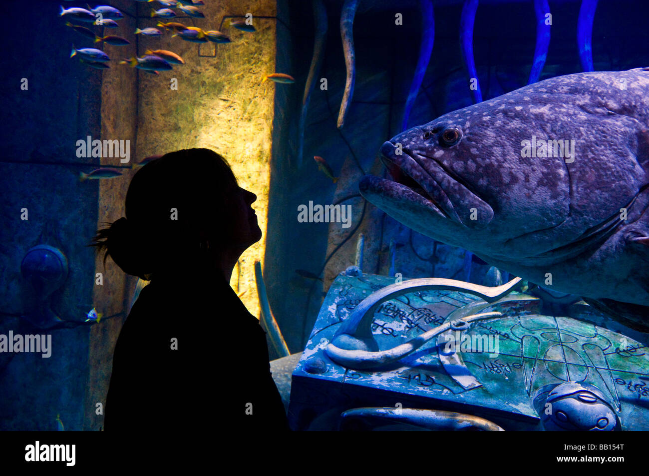 Aquarium in the Lost Chambers Atlantis Hotel Dubai Stock Photo