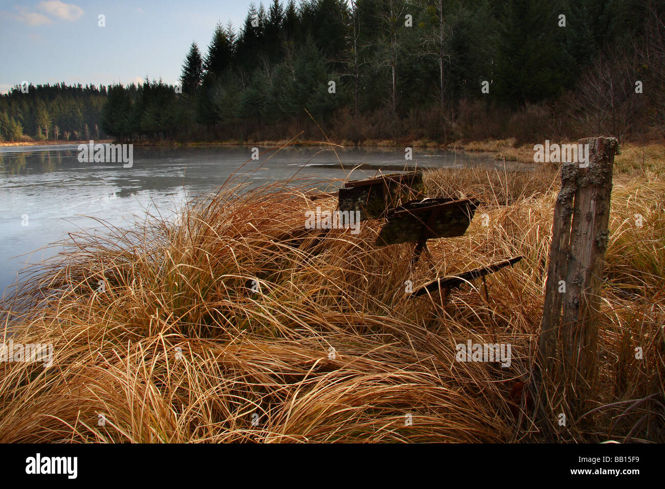 A small rotten water wheel amongst dry grasses at the side of a lake in winter. Limousin. France. Stock Photo