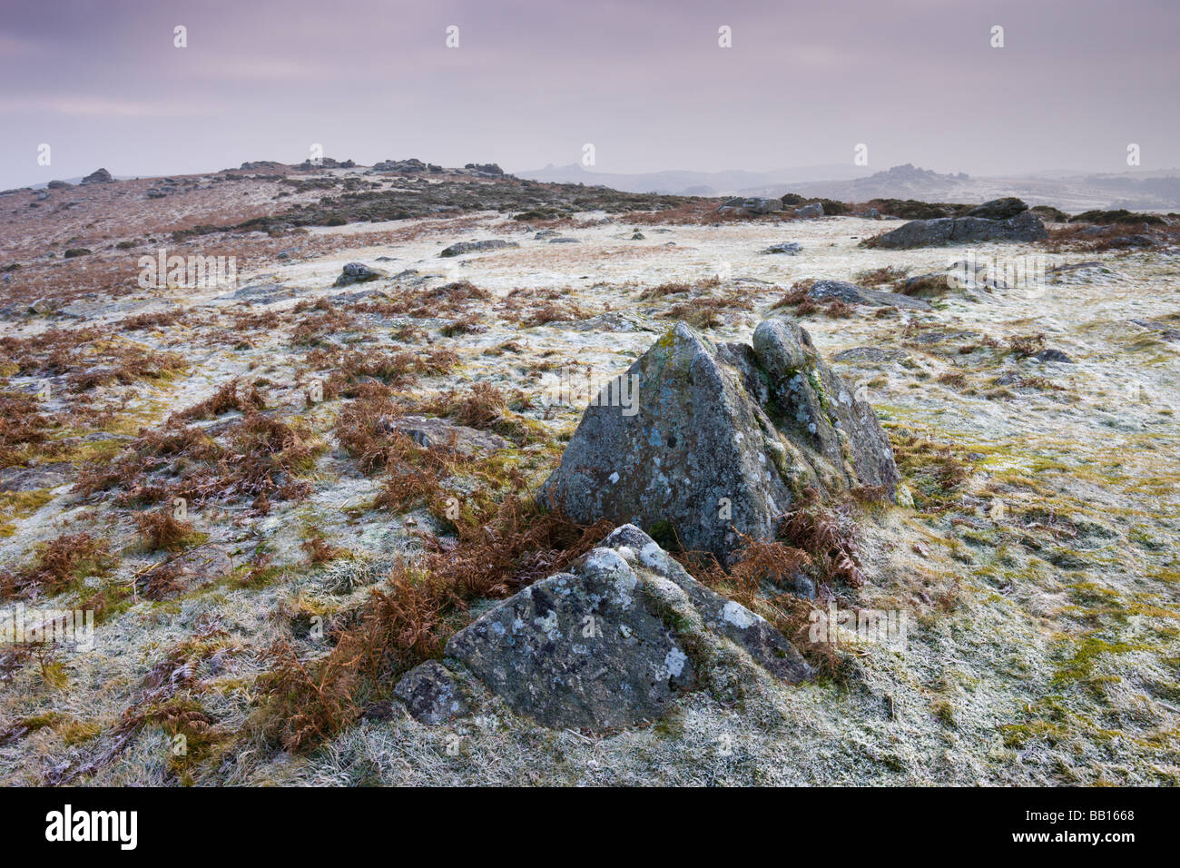 Frozen moorland landscape on Hayne Down in Dartmoor National Park Devon England January 2009 Stock Photo