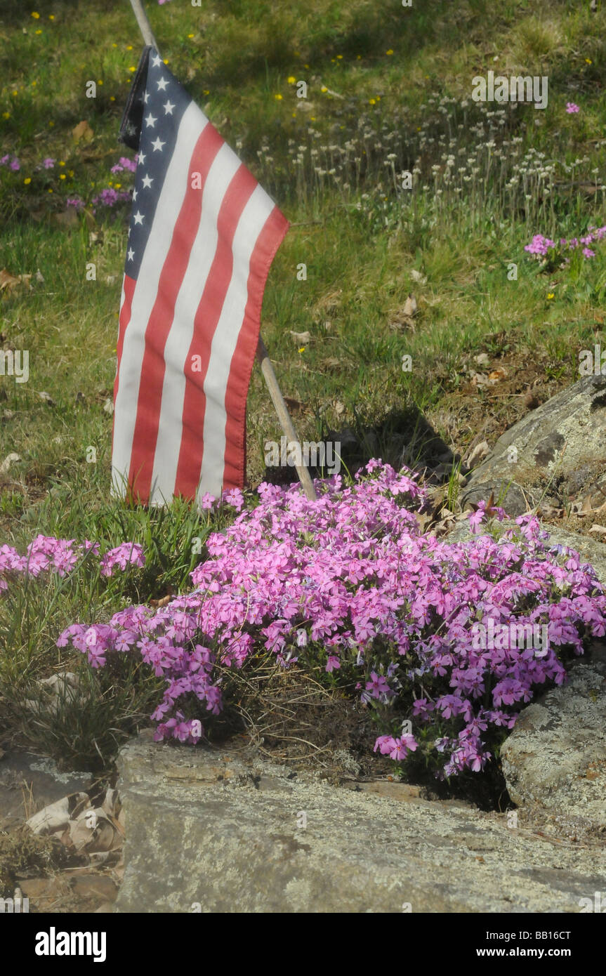 Historical cementary with american flag and revolutionary soldiers Stock Photo