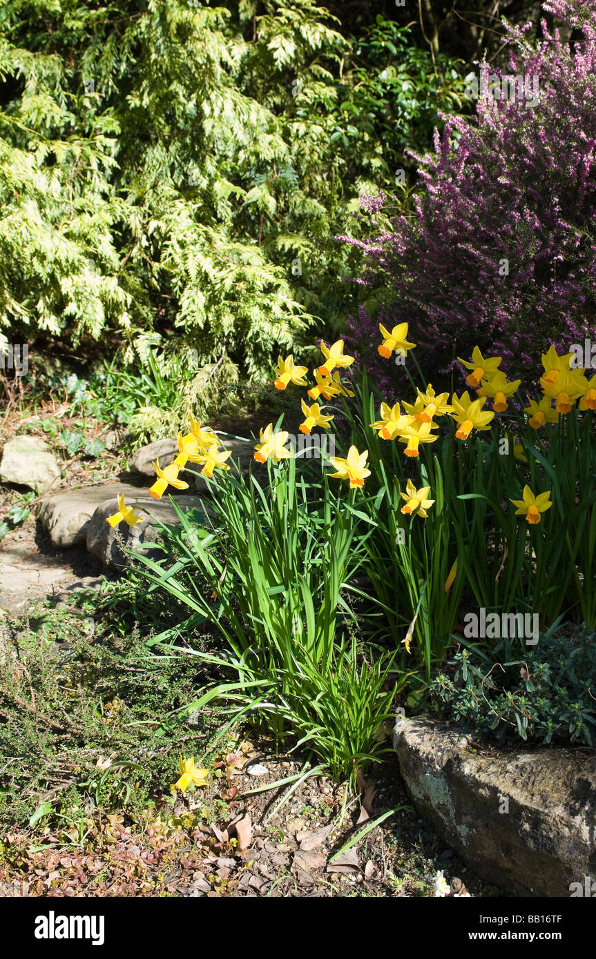 Spring flowers hi-res stock photography and images - Alamy
