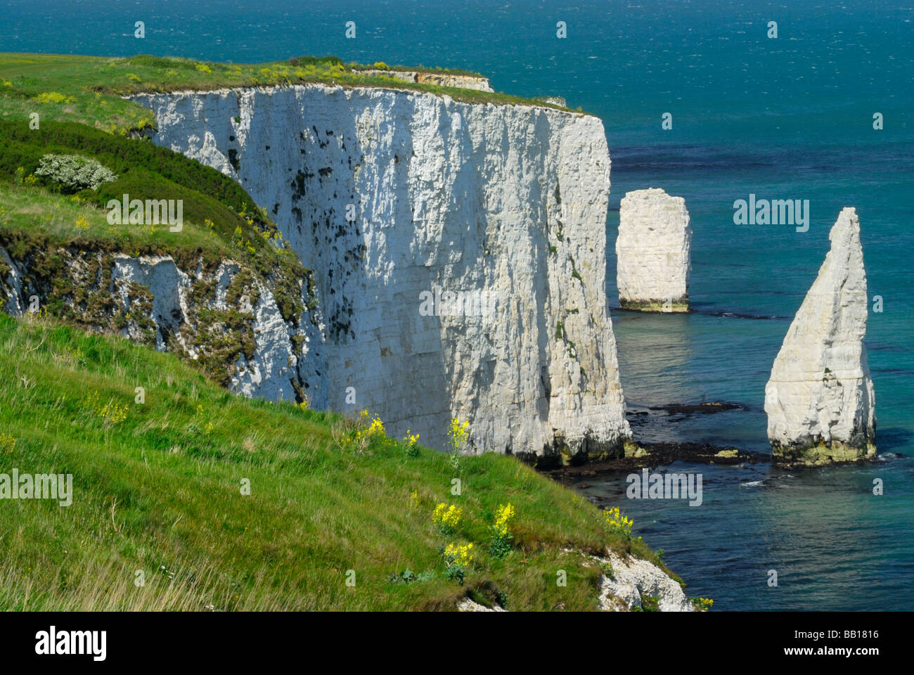 Old Harry Rocks near Studland, Dorset, England, UK Stock Photo - Alamy