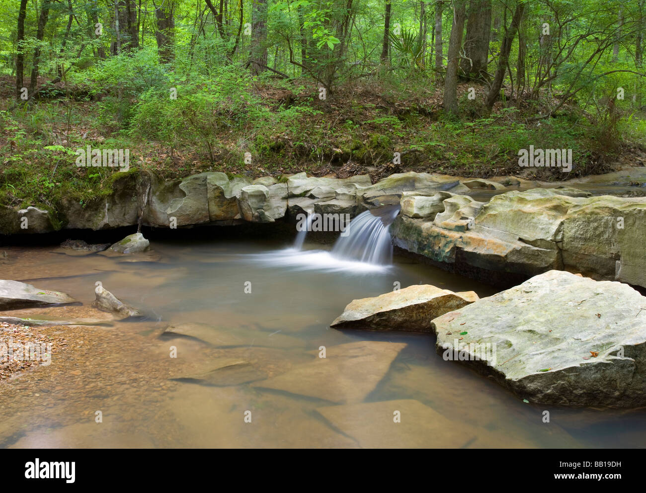 Big Creek, Sicily Island Hills Wildlife Management Area, Louisiana