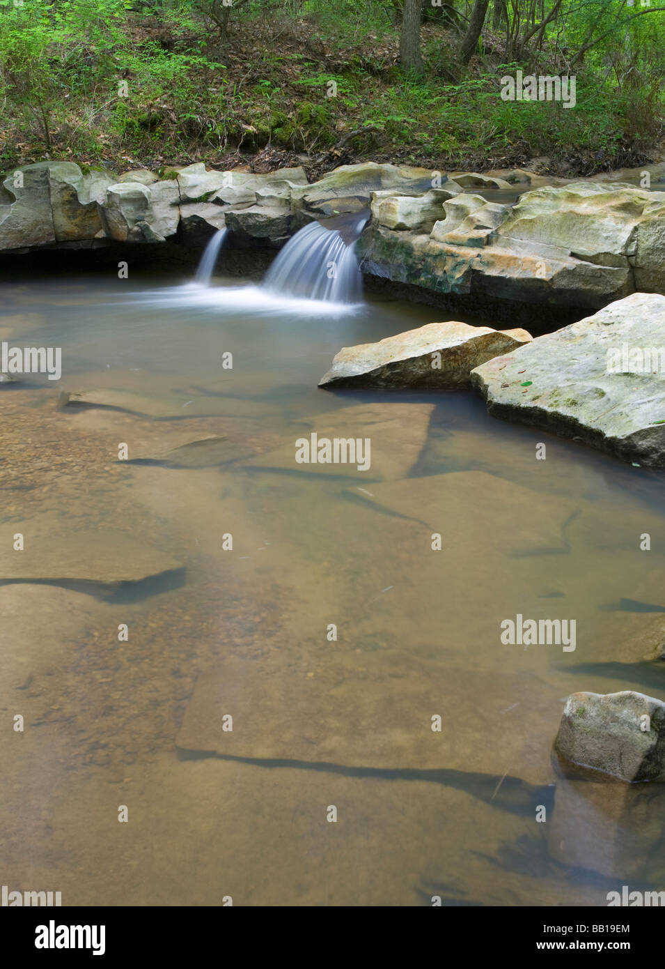 Big Creek, Sicily Island Hills Wildlife Management Area, Louisiana