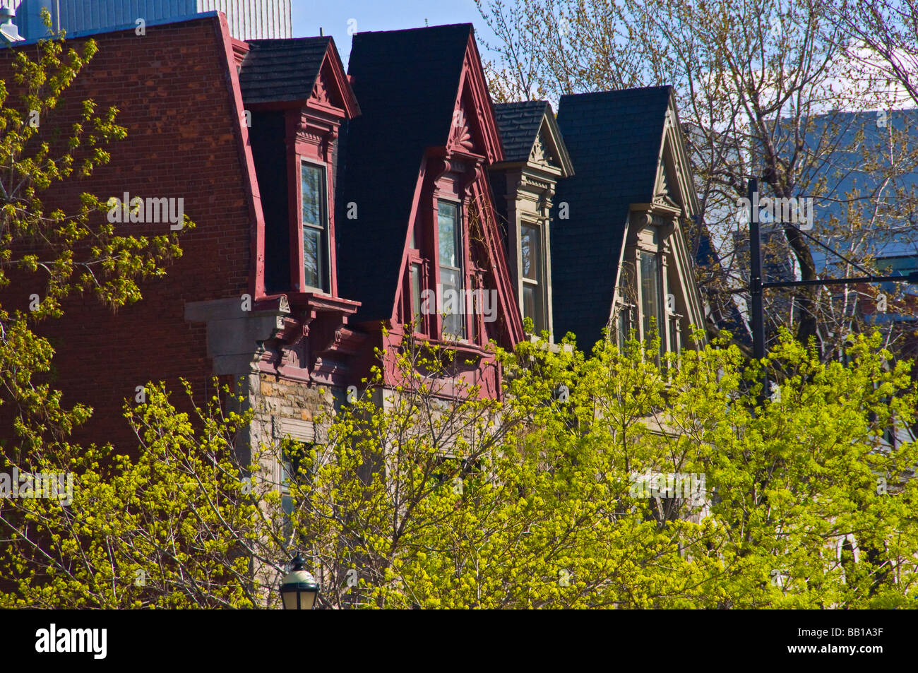 Typical houses on Sherbrooke street Montreal Stock Photo