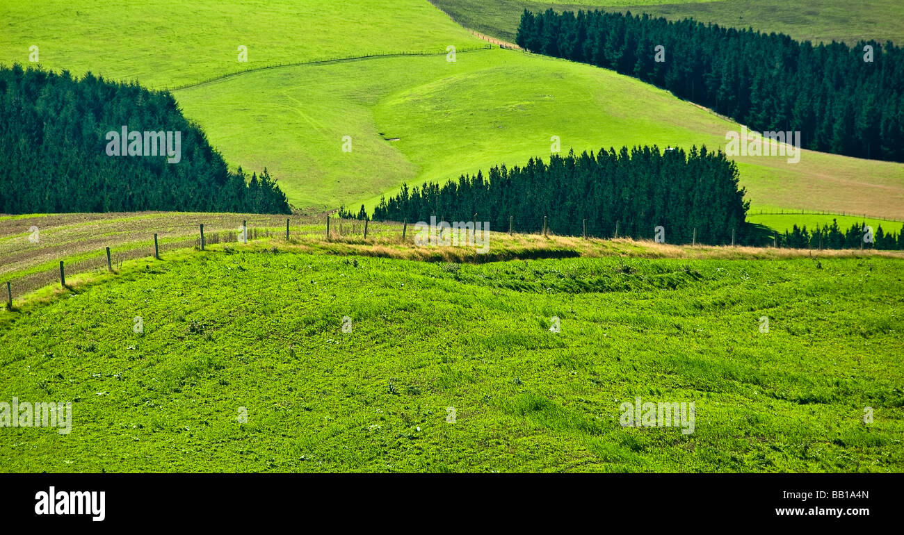 Canterbury plains hires stock photography and images Alamy