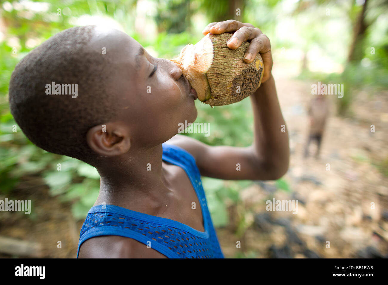 Boy drinkin coconut milk, Dakoto Junction, Ghana, Africa Stock Photo Alamy