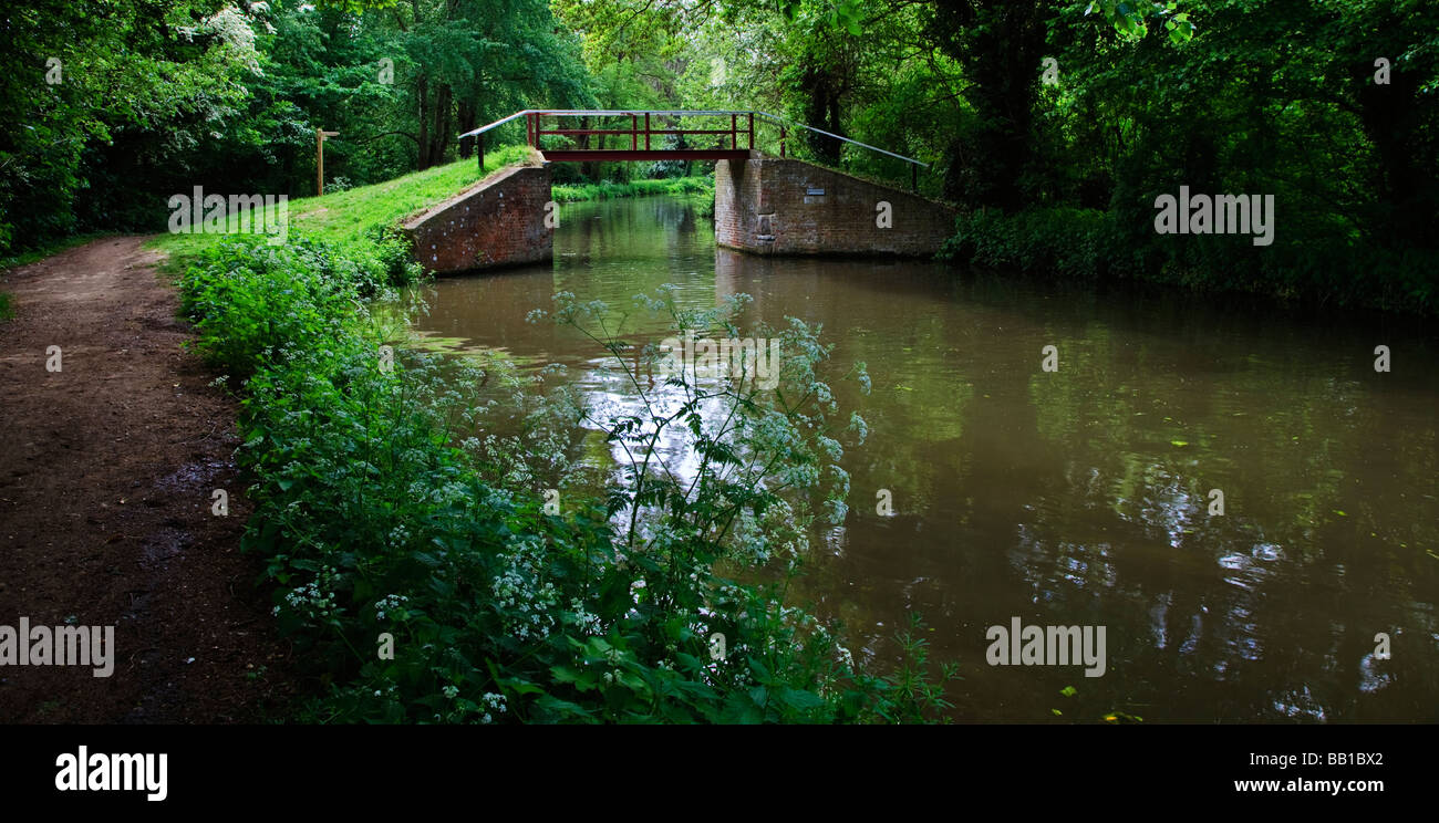 river wey navigation in surrey  passing under a foot bridge with trees providing cover Stock Photo