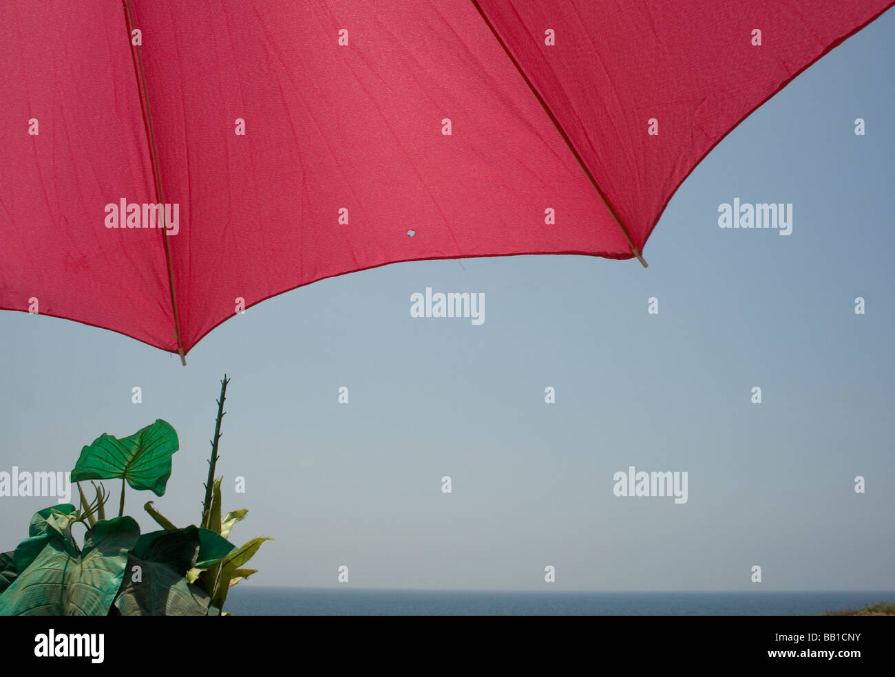 summer time shade Stock Photo - Alamy